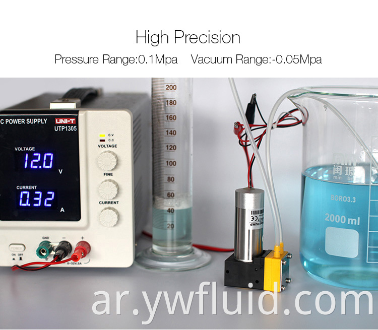 Micro Double-Ot-Head BLDC Pressless Air Abragm Pump مع جودة 12V/24V جيدة